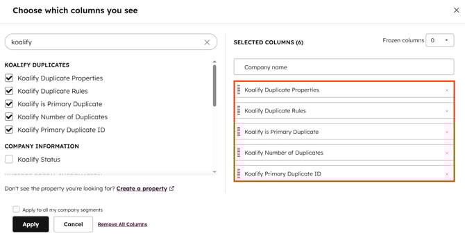 Edit columns to create a segment of your HubSpot Duplicates