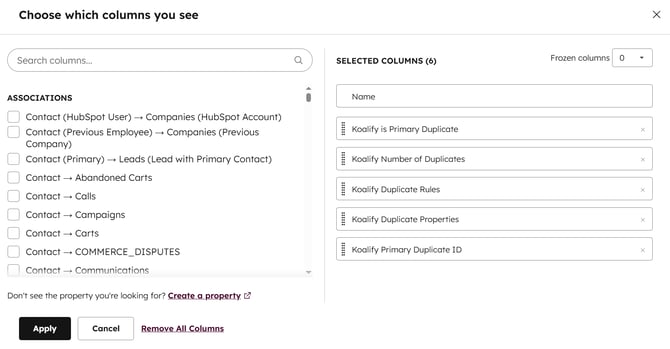 Edit columns to create view of Koalify duplicates in HubSpot