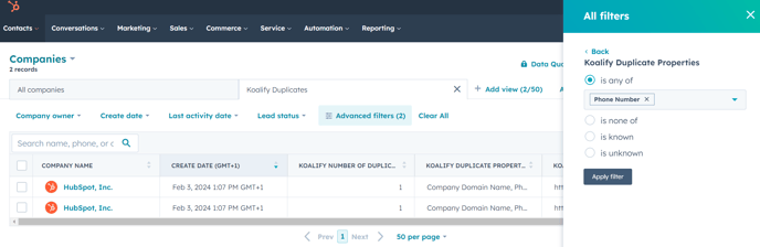 Create a view of duplicates that were identified based on a specific property